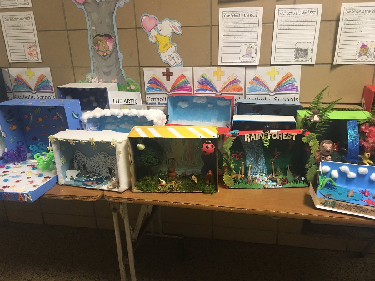 Buthania11's tweet photo. @SHGSYonkers first grade animal habitat dioramas https://t.co/5XqZEKeVKh