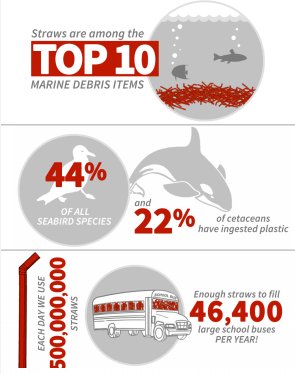 Connect4Climate's tweet image. Environmental education is key to solving plastic trash globally. Go strawless... we do. Sign the OneLessStraw Pledge Campaign today and make sure to 'follow' @1LessStraw onelessstraw.org/individuals-si… #1LessStraw