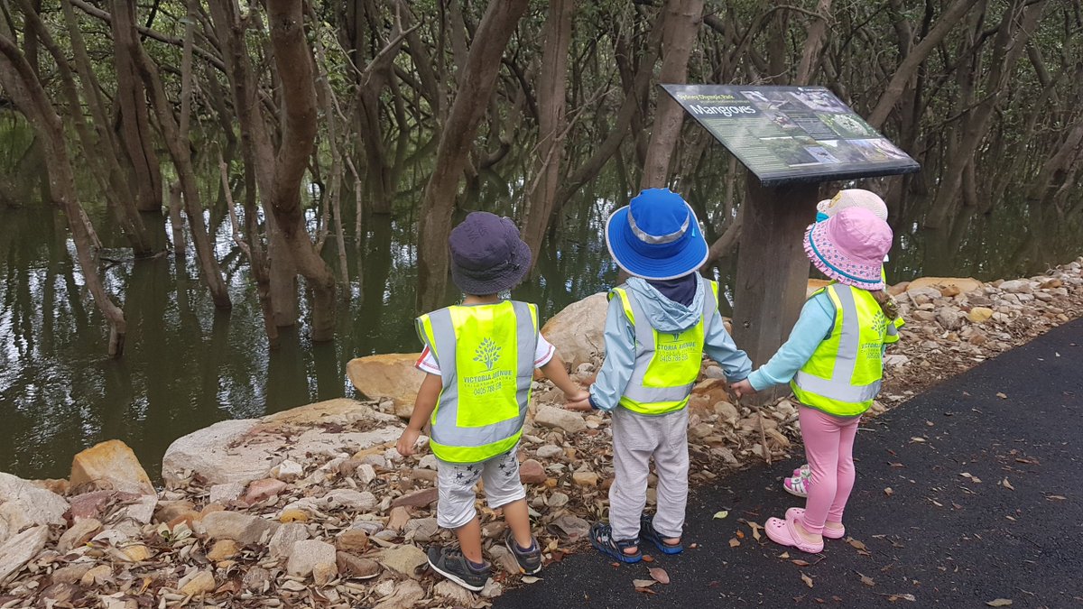 A morning of wetland wonder for children from local early learning centres as they explore Badu Mangroves at Sydney Olympic Park with the Education Team and Parkland Rangers #WorldWetlandsDay @WetlandCare <a href="/RamsarConv/">Convention on Wetlands</a> <a href="/USGSWetlands/">USGSWetlands</a> @olympicpark_syd