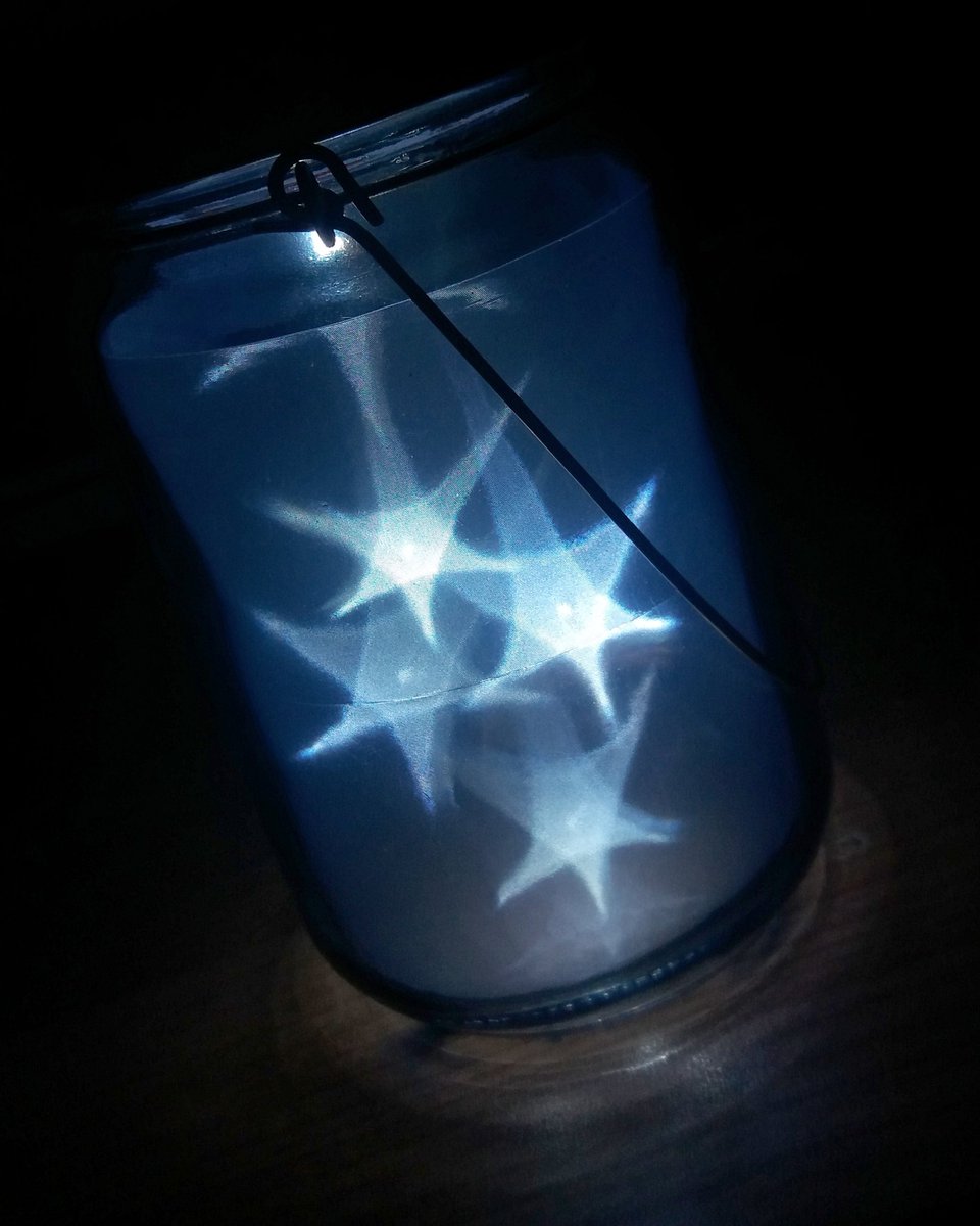 Lauralionfish's tweet photo. Caught myself some fireflies... https://t.co/iiqSIkULcO