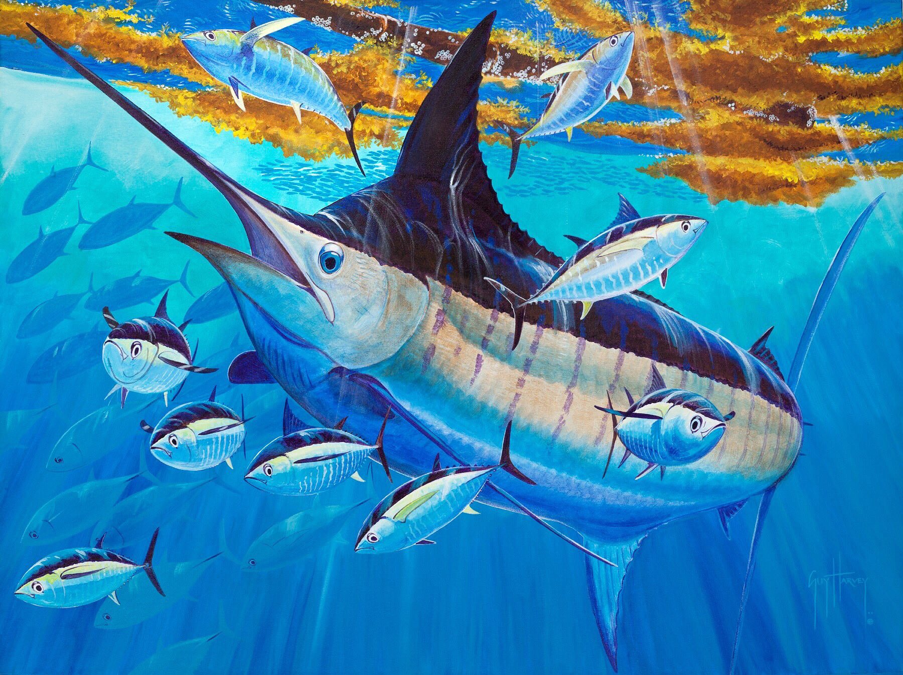 guy harvey marlin wallpaper