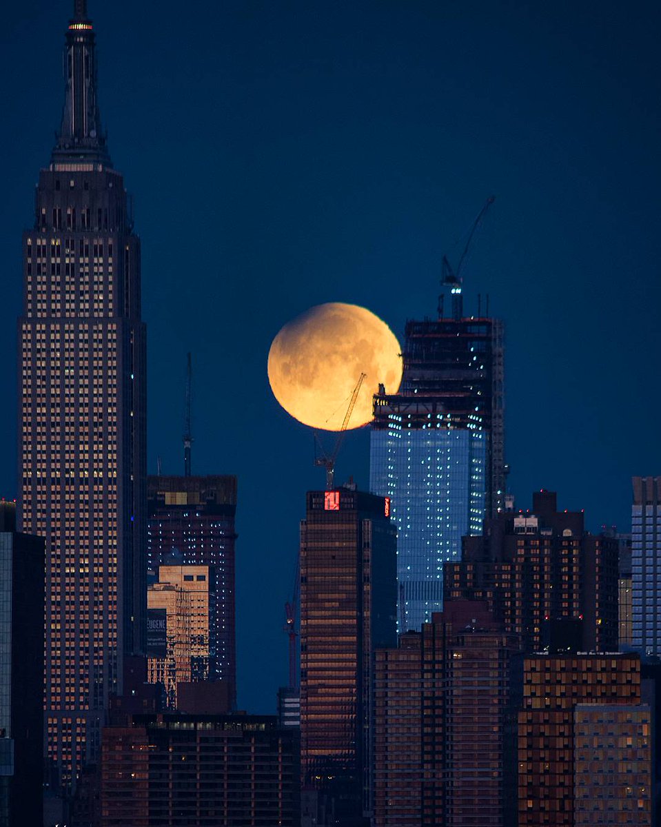 Twitter @maximusupinNYc
