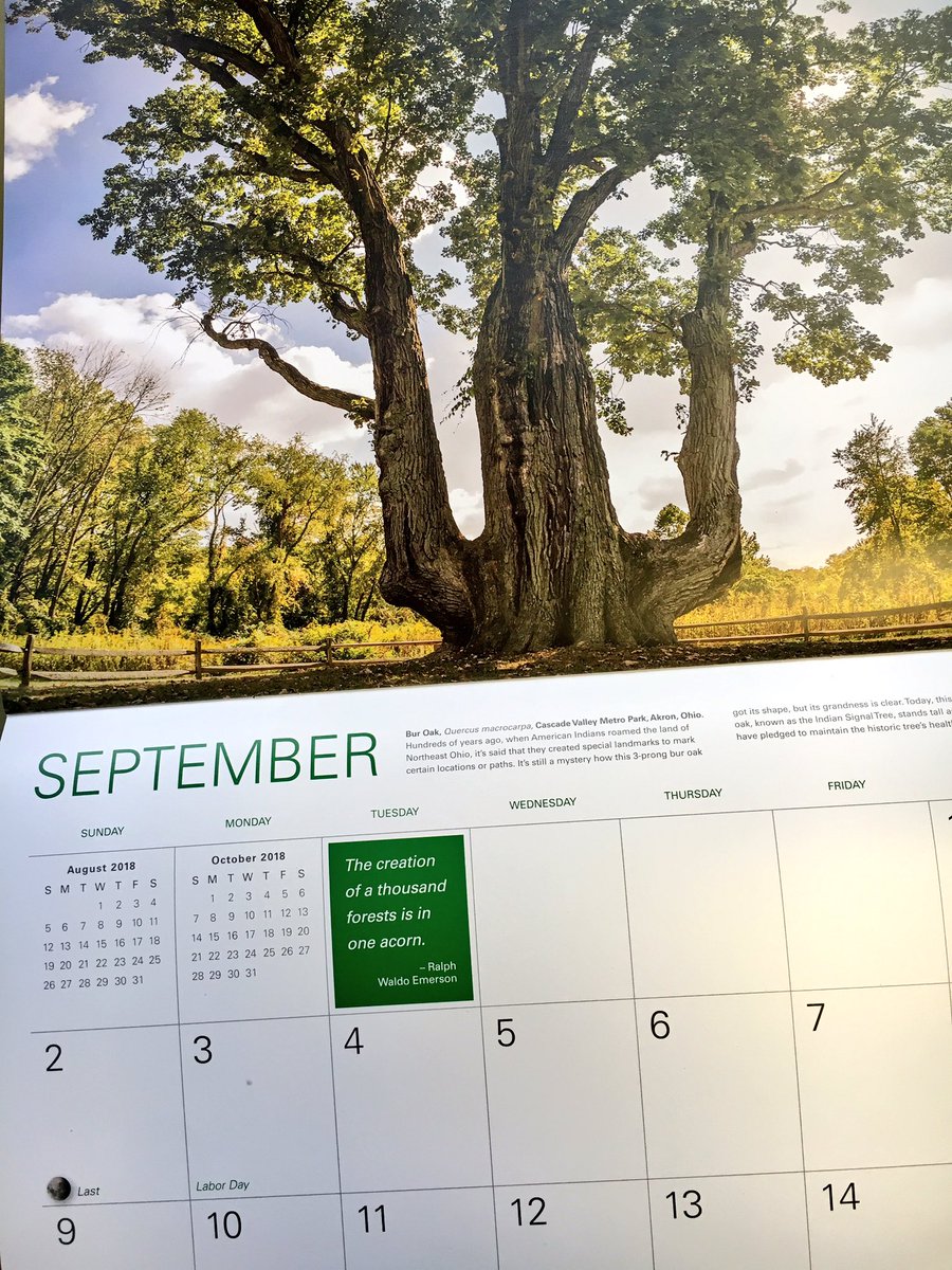 metro_parks's tweet photo. Have you seen @DaveyTree's 2018 "Trees That Inspire Us" calendar? You may recognize September ... #SignalTree #CascadeValley #Akron #summitmetroparks https://t.co/N8B4AqDxIn