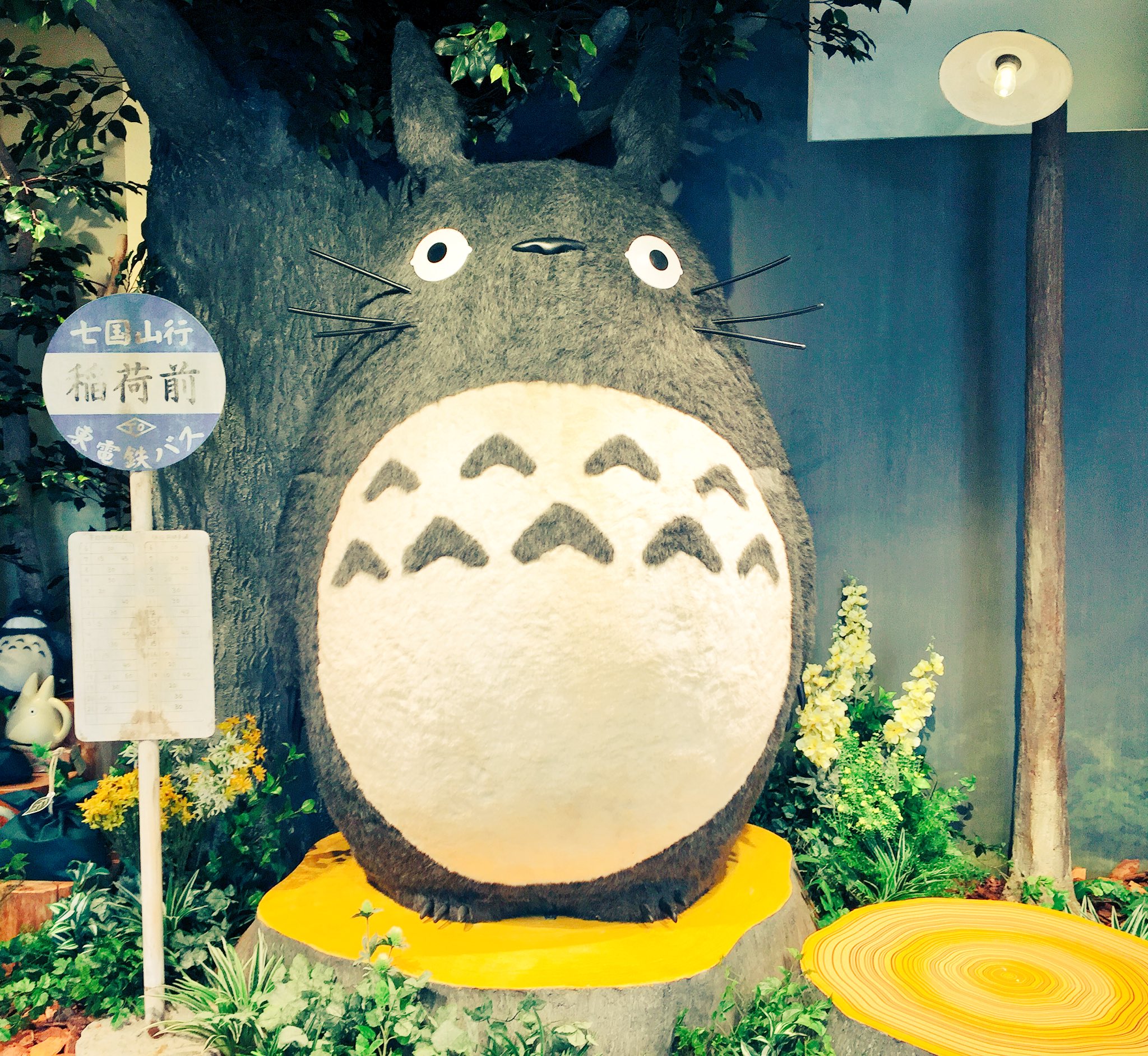 Twitter 上的 ジブリがいっぱい どんぐり共和国 公式 東京スカイツリータウン ソラマチ店 本日10時 リニューアルオープンいたします 入口には大きなnewネコバス 行き先もちゃんと そらまち になっています 大人女子に向けた Closet アイテムも取り扱い