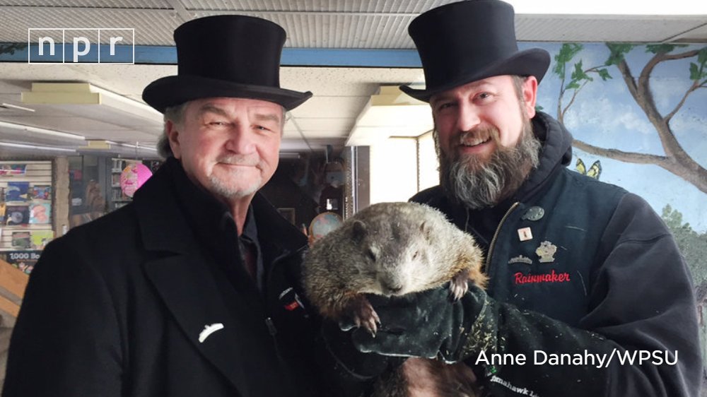 NPR's tweet image. The perks of being Punxsutawney Phil include:
- An Inner Circle
- World attention on Groundhog Day
- A special drink, the "elixir of life," that gives another seven years n.pr/2EwmmTH