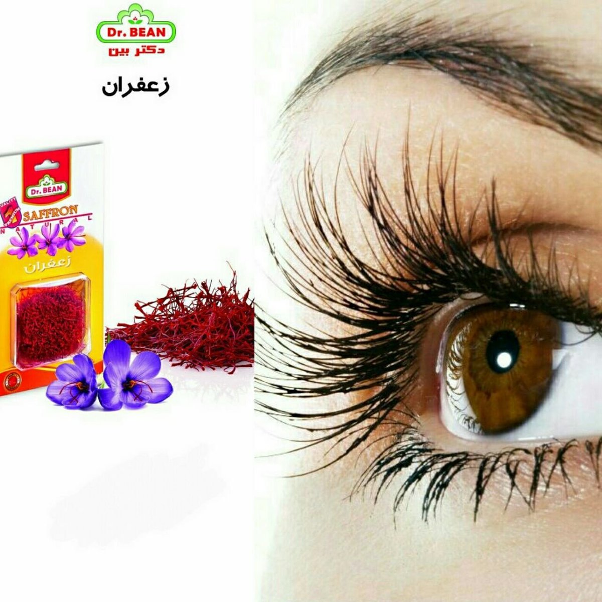 ImanMehrGroup's tweet photo. Saffron improves eyesight! #saffron #IMANMEHR #dr Bean #Eyesight https://t.co/BD3G991AUu
