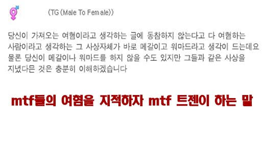 mtf 트젠들의 여혐을 비판하자 mtf 트젠들이 하는 말