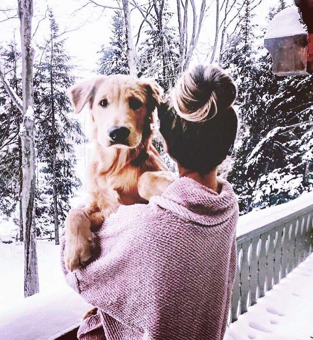 dodoknowsdir's tweet photo. Cuz I am snow and I love my mama
#dodoknows
#winters #winteriscoming #pet #pets #petsofinstagram #cute #cutenessoverload #cuteness #dogoftheday #dogsofinstagram #dogselfie #dogs #doglife #goldenretriever #doglover #dogsofinsta #dogsoftwitter #dog #goldenretrieverlove https://t.co/Rf6lkGEAu4