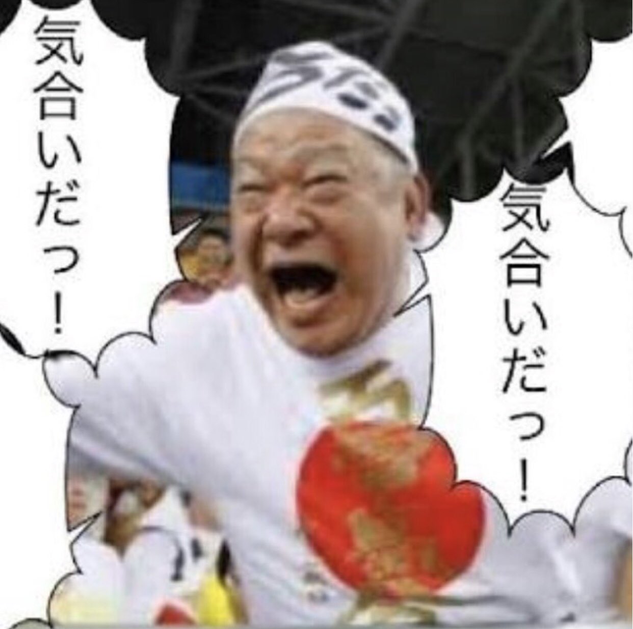 トリで～す！！ on X:  