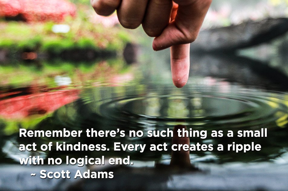 HelpChangeAmer1's tweet photo. Remember there’s no such thing as a small act of kindness. Every act creates a ripple with no logical end. ~ Scott Adams #HelpChangeAmerica #ChooseKindness #ChooseLove https://t.co/5a3jtdlB0u https://t.co/Ar88fGMBVr