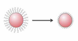 silica coated magnetic nanoparticles an insight into targeted drug delivery and