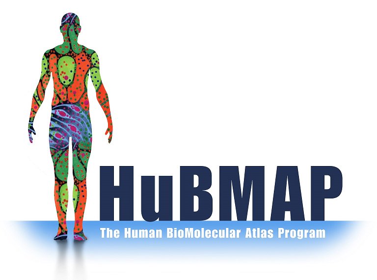 New Funding Opportunity from the Human Biomolecular Atlas Program -  #HuBMAP Integration, Visualization, and Engagement (HIVE) Initiative (OT2). Mandatory LOIs are due Feb 28.  go.usa.gov/xnf6v