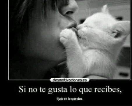 rocio_rtm's tweet photo. https://t.co/Cw1PqOU6qp