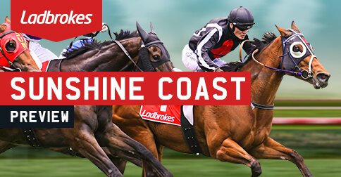 2018 Sunshine Coast Cup Day Preview tsprt.co/2naYJYr