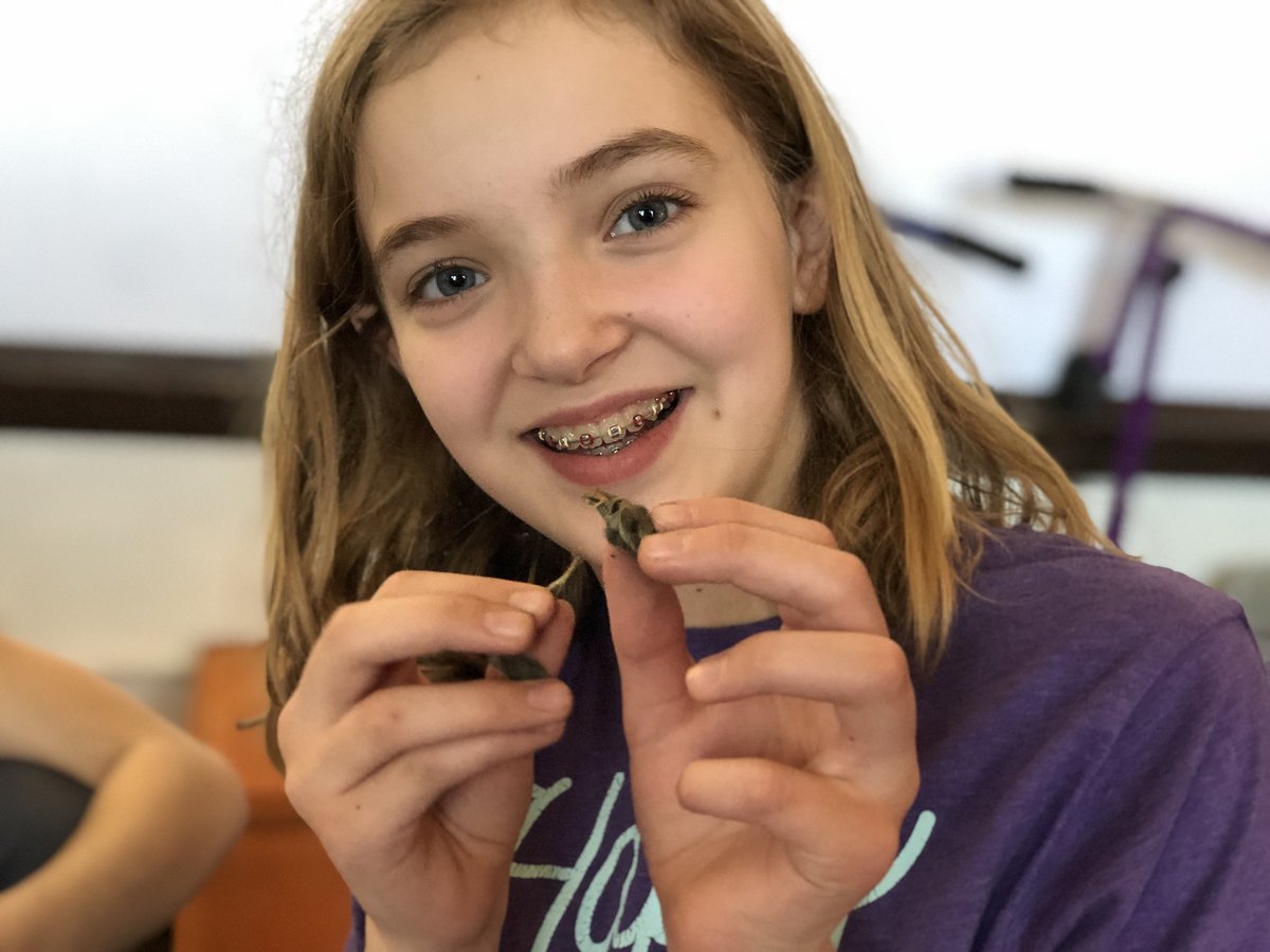 MrDaleyLeads's tweet photo. Reading Street Unit 4: #Adaptations 

Let’s dissect owl pellets! 🦉 Look at those faces!

#Science #5thgrade #coteaching #blendedlearning #sciencematters #tlap #ELAchat #497pd https://t.co/UaDcwCWLwl