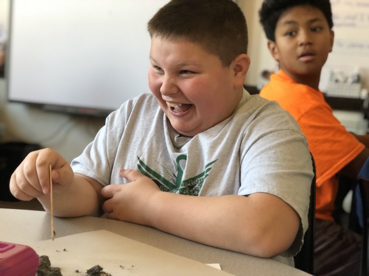 MrDaleyLeads's tweet photo. Reading Street Unit 4: #Adaptations 

Let’s dissect owl pellets! 🦉 Look at those faces!

#Science #5thgrade #coteaching #blendedlearning #sciencematters #tlap #ELAchat #497pd https://t.co/UaDcwCWLwl