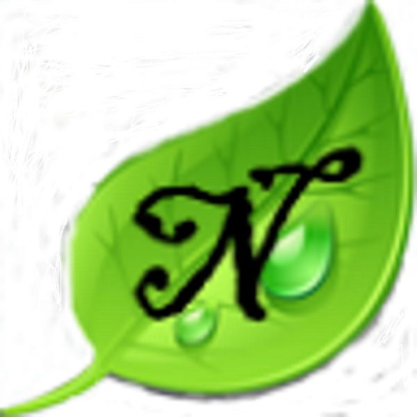 download garfinkel and