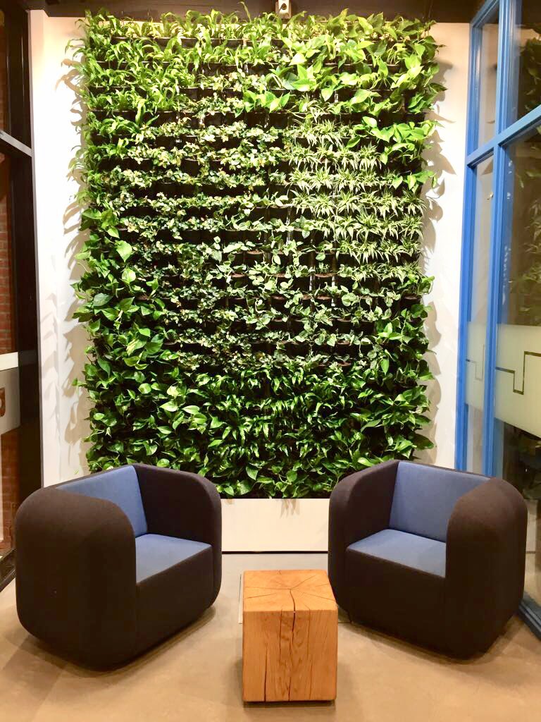 plantenman's tweet image. Vandaag deze gave volledig automatische groene plantenwand geïnstalleerd bij Cultura Stadspoort in Ede.
#groenewand #plantenwand #groeneplantenwand #greenwall #interieurbeplanting #plantenman #maatwerk #cultura  #bibliotheek #levendeplanten