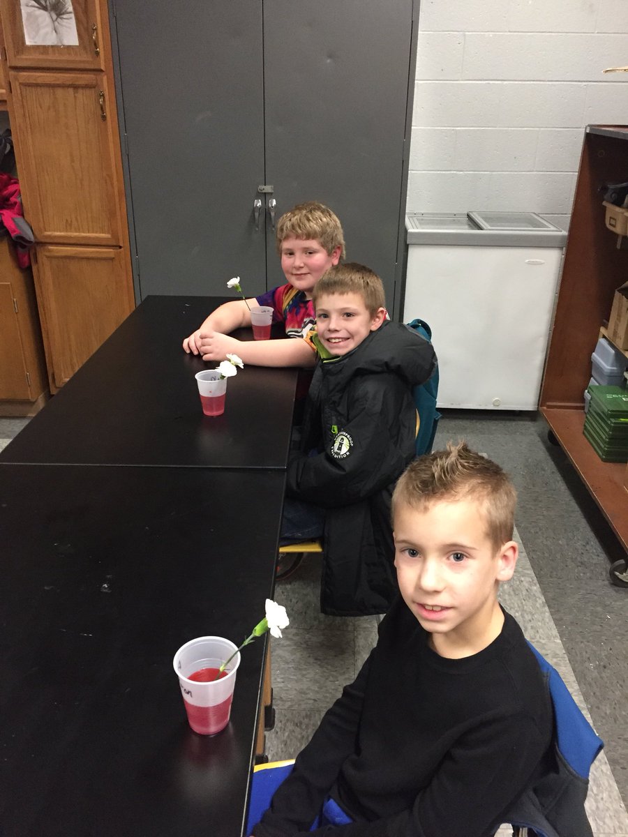 3rd Grade students visit high school and learn about capillary action and transpiration!