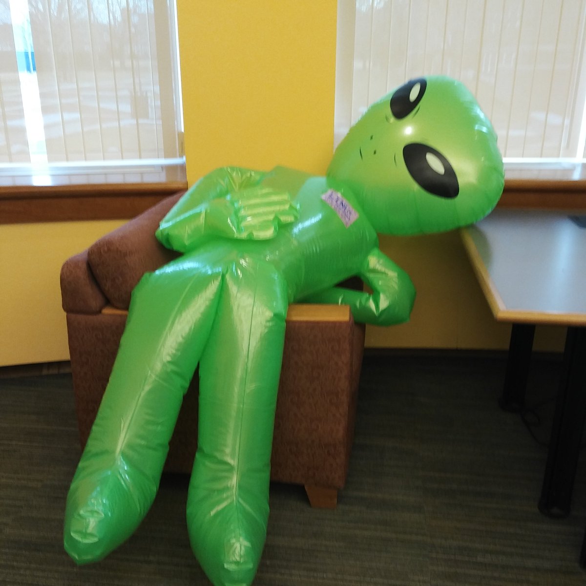 macphaidin_lib's tweet photo. Did you know?? The #Libralien has a first name!
#Students named him #Linus.
So #LinusTheLibralien is lounging on the first floor of the #Library.
He had a tough weekend studying! https://t.co/IZZHntphqN