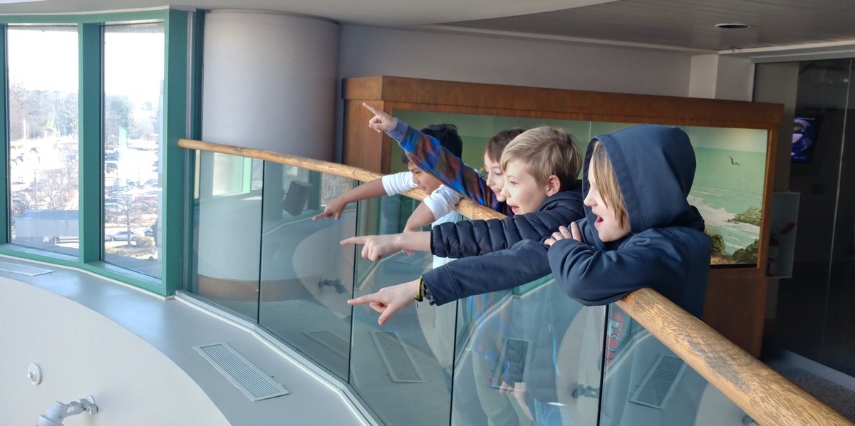 AmeliaGouillon's tweet photo. What an awesome day exploring the Museum of Natural Sciences! Thanks to our chaperones! @ashlee_ciccone https://t.co/CStacuakkv