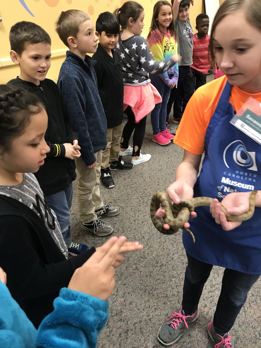 AmeliaGouillon's tweet photo. What an awesome day exploring the Museum of Natural Sciences! Thanks to our chaperones! @ashlee_ciccone https://t.co/CStacuakkv