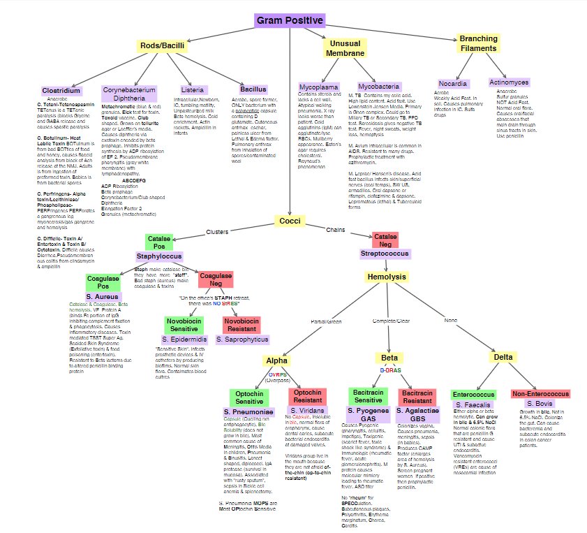 download antisocial behavior causes correlations and treatments