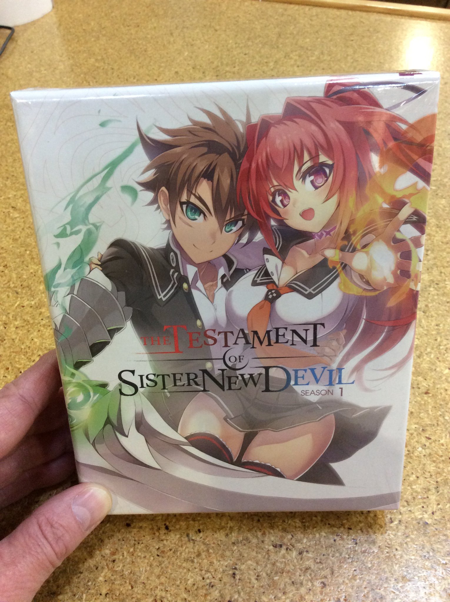 Anime The Testament of Sister New Devil uncensored DVD Season 1+2+2OVA ENG  DUB