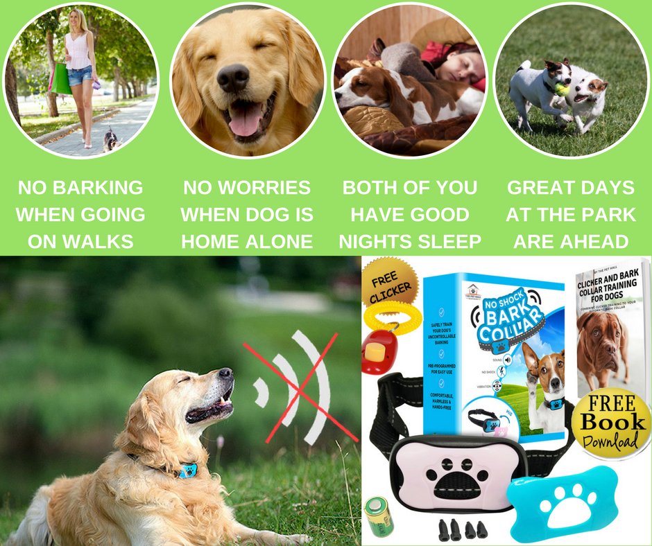 thepethall's tweet photo. The Pet Hall Automatic Bark Collar!

The only collar you will ever need to harmlessly train your dog to find their inner voice!

No Shock! No Harm! No Problem!

Order Now on Amazon!
https://t.co/W6Xgt1xp9O

#thepethall #dog #dogs #dogbarking #bark #collar #automatic #barking #pet https://t.co/6YOYMw1pwi