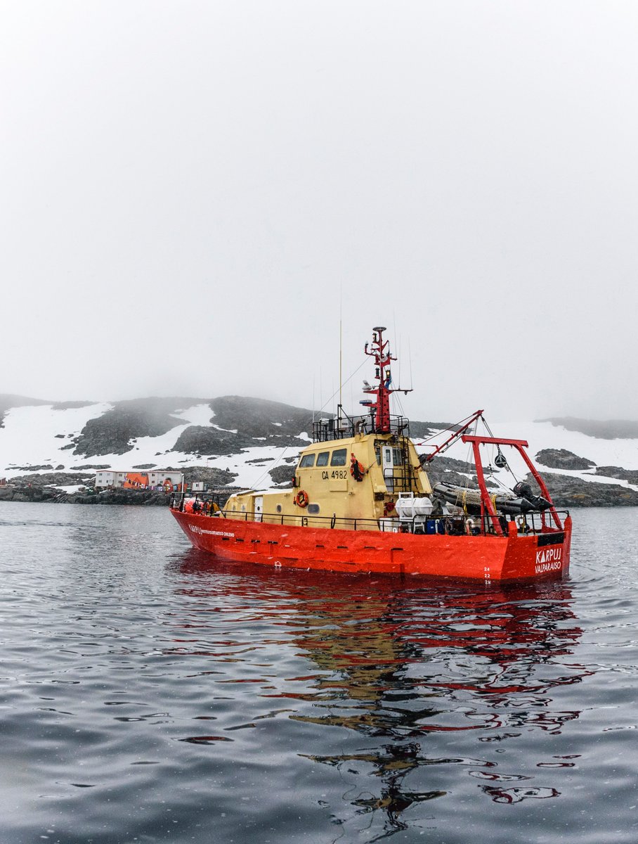 inach_gob's tweet photo. Lancha científica Karpuj continúa sin contratiempos su trabajo en Antártica.
En las fotos se aprecia la lancha en Bahía Sur, Isla Doumer, frente a Base Yelcho
#ciencia #antartica #ECA54 #PUQ #Magallanes #science #karpuj https://t.co/u4v3OXZSrM
