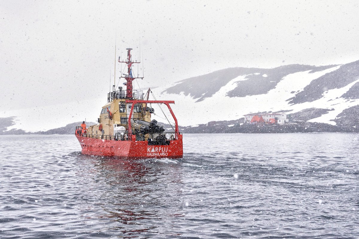 inach_gob's tweet photo. Lancha científica Karpuj continúa sin contratiempos su trabajo en Antártica.
En las fotos se aprecia la lancha en Bahía Sur, Isla Doumer, frente a Base Yelcho
#ciencia #antartica #ECA54 #PUQ #Magallanes #science #karpuj https://t.co/u4v3OXZSrM
