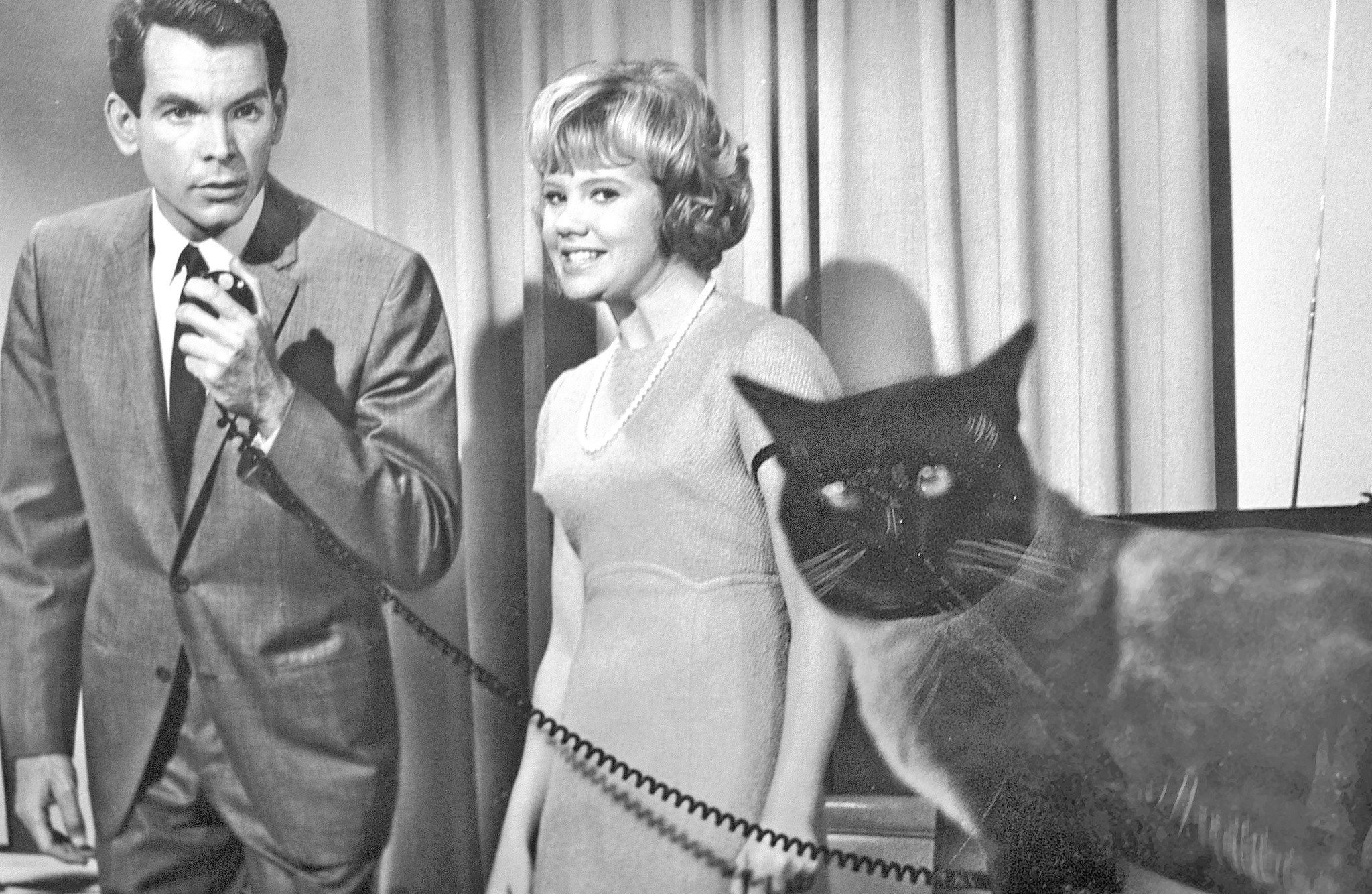 Happy Birthday to Disney Legend Dean Jones, here in THAT DARN CAT. 