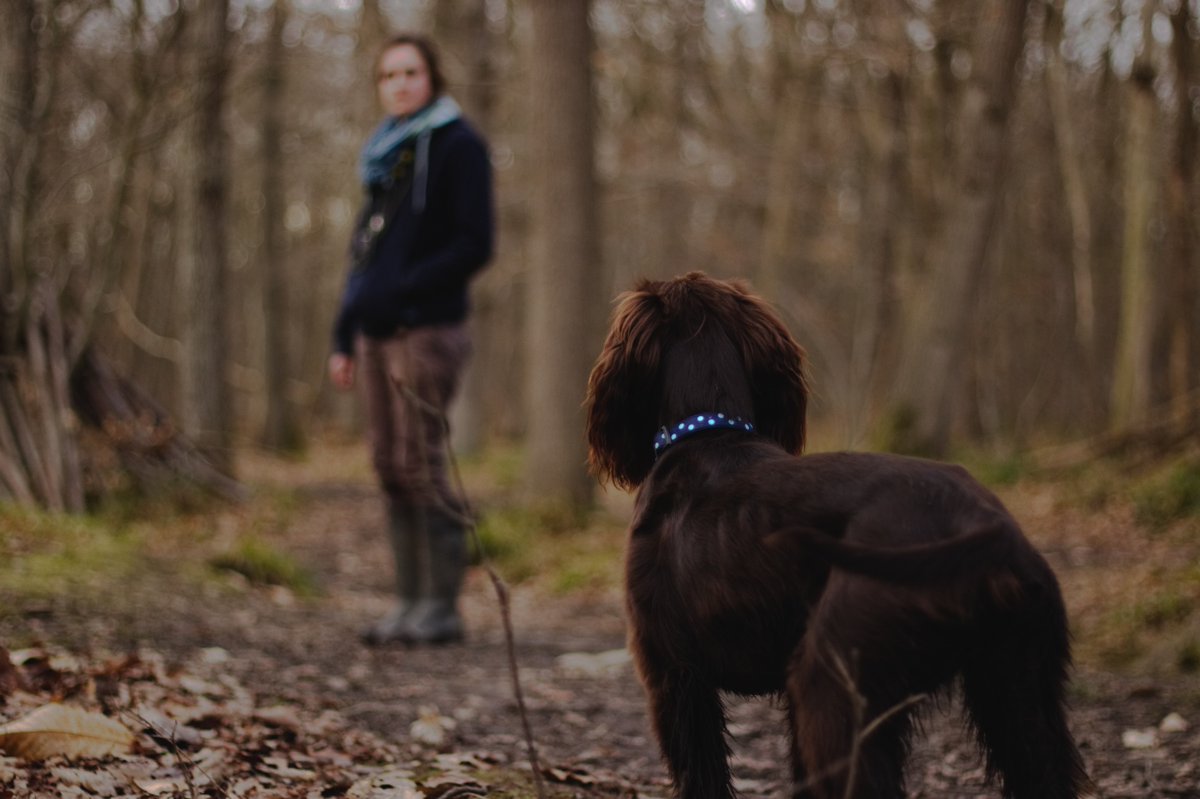 FoxInnAnsty's tweet photo. If you need a bit of inspiration where to walk your four legged friend this weekend, here's the best walks in and around Dorchester 🚶‍And if you want a bite to eat, we even have a doggy menu too 🐶 https://t.co/uUISoHZTSf

01258 880328 | https://t.co/0F2jS4wJR7 https://t.co/ef1QFP77sI