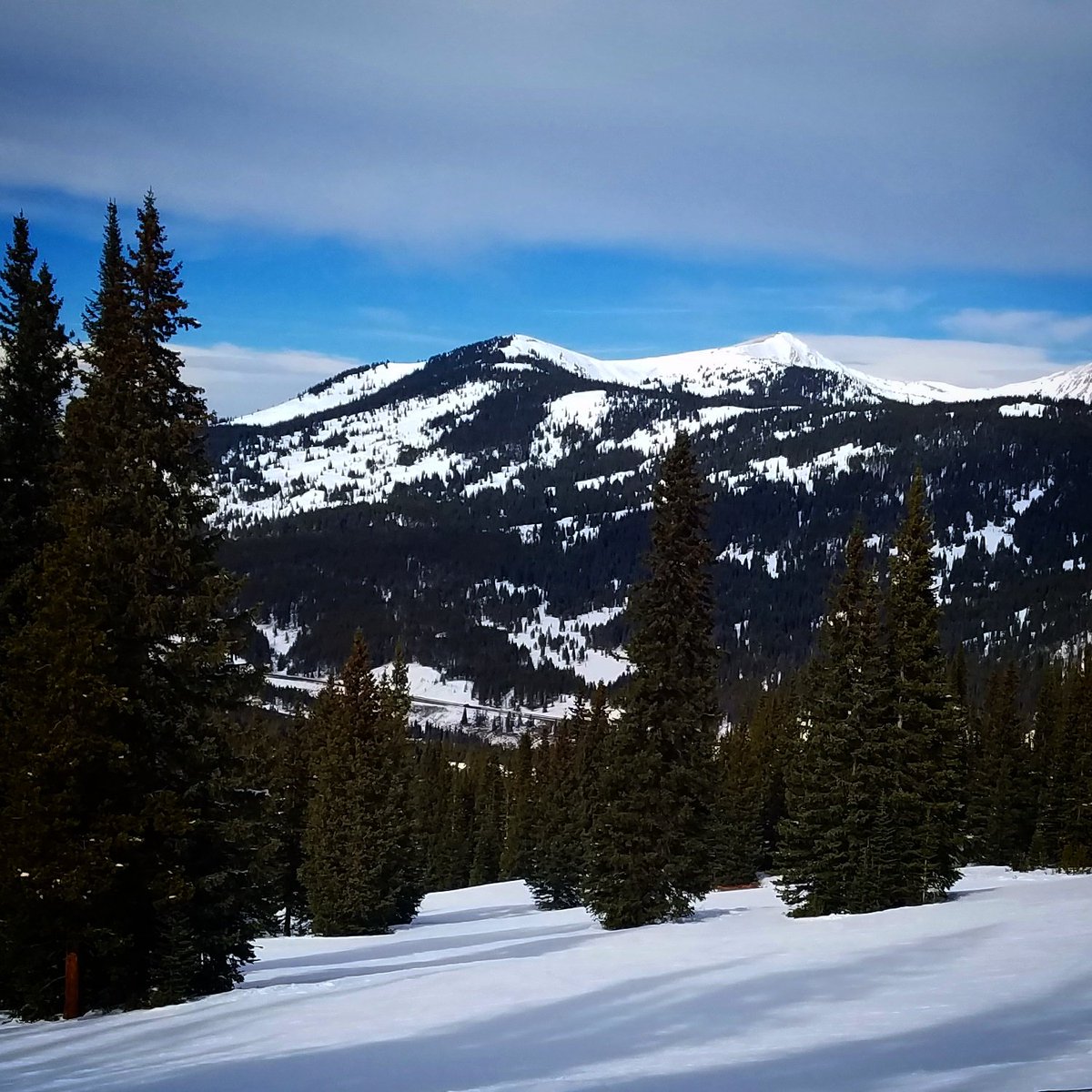 Nutraplex's tweet photo. Ready to hit the slopes!
#Rockies #RockyMountains #Colorado #Ski #Snowboarding #Sports #nutrition #nutraplex #health #nongmo #glutenfree #soyfree #food #OnTheGo https://t.co/7MQr5T3TBh