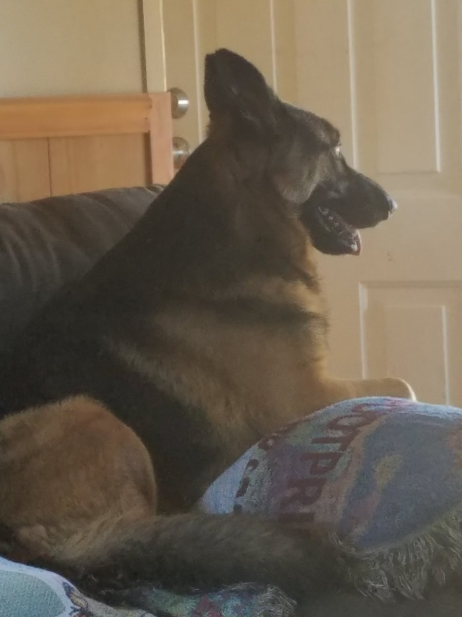 keith9807's tweet image. Look how small he is