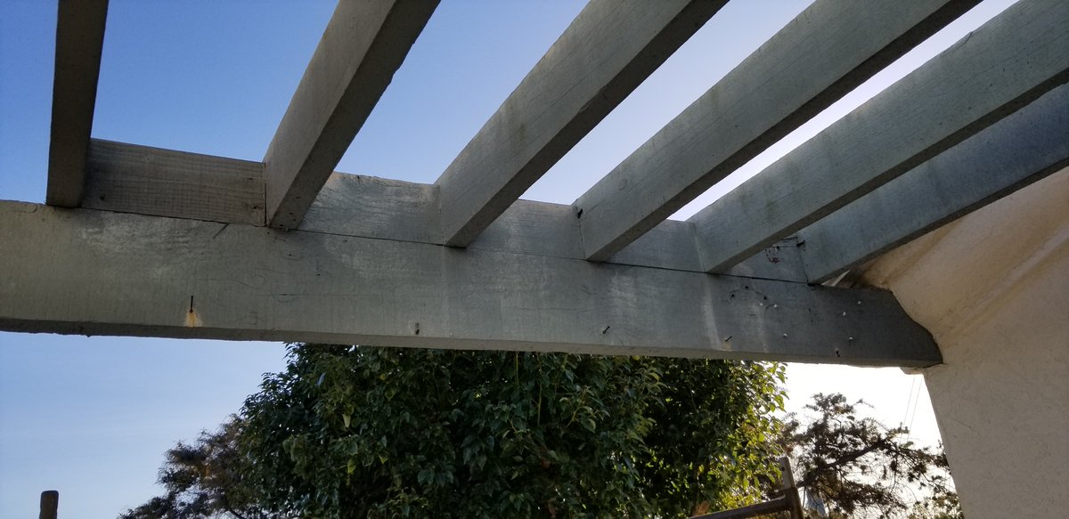 QPMSanDiego's tweet image. Before Photos - Termite and Dry Rot Damage

#hoamaintenance #termiterepair #dryrotrepair #termites #dryrot #hoa #construction #qualitypropertymaintenance