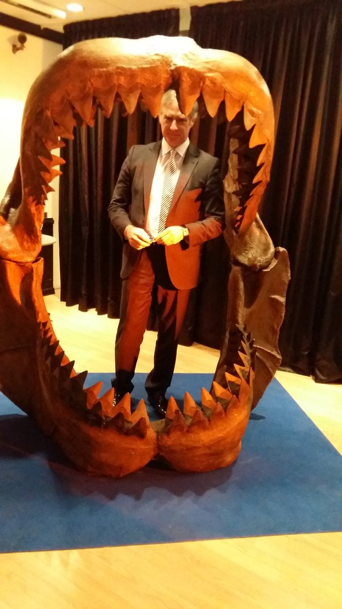 160661's tweet image. Exposición fósiles en Ámbito Cultural de El Corte inglés