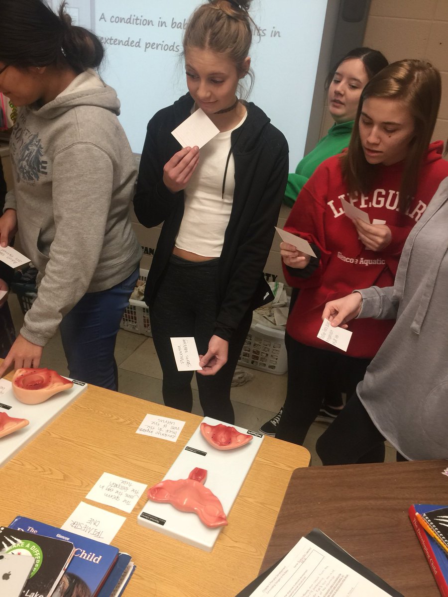 KDaneFACS's tweet image. Identifying monthly characteristics in #PrenatalDevelopment in #Infants #ChildDevelopment 🤰🏼#FACS #SayYesToFCS #GSLcultureofsuccess @RealityworksInc