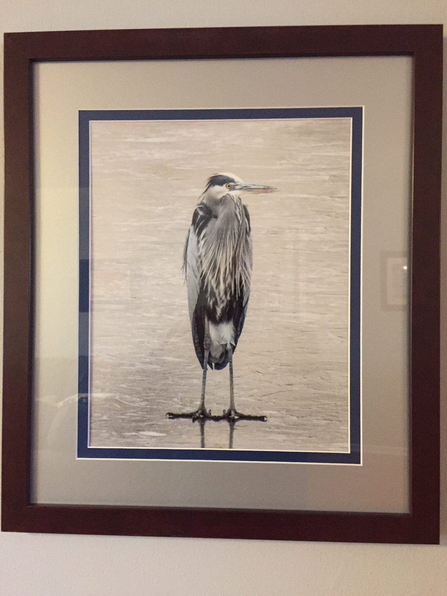 FrameItEasy's tweet photo. The owner of this piece calls it "Dignified." We call it "Perfectly Framed." ๐๐บ๐ธ
#FrameItEasy #ThursdayThoughts #AmericanMade๐บ๐ธ #CustomFraming https://t.co/Q67KC7I4RY