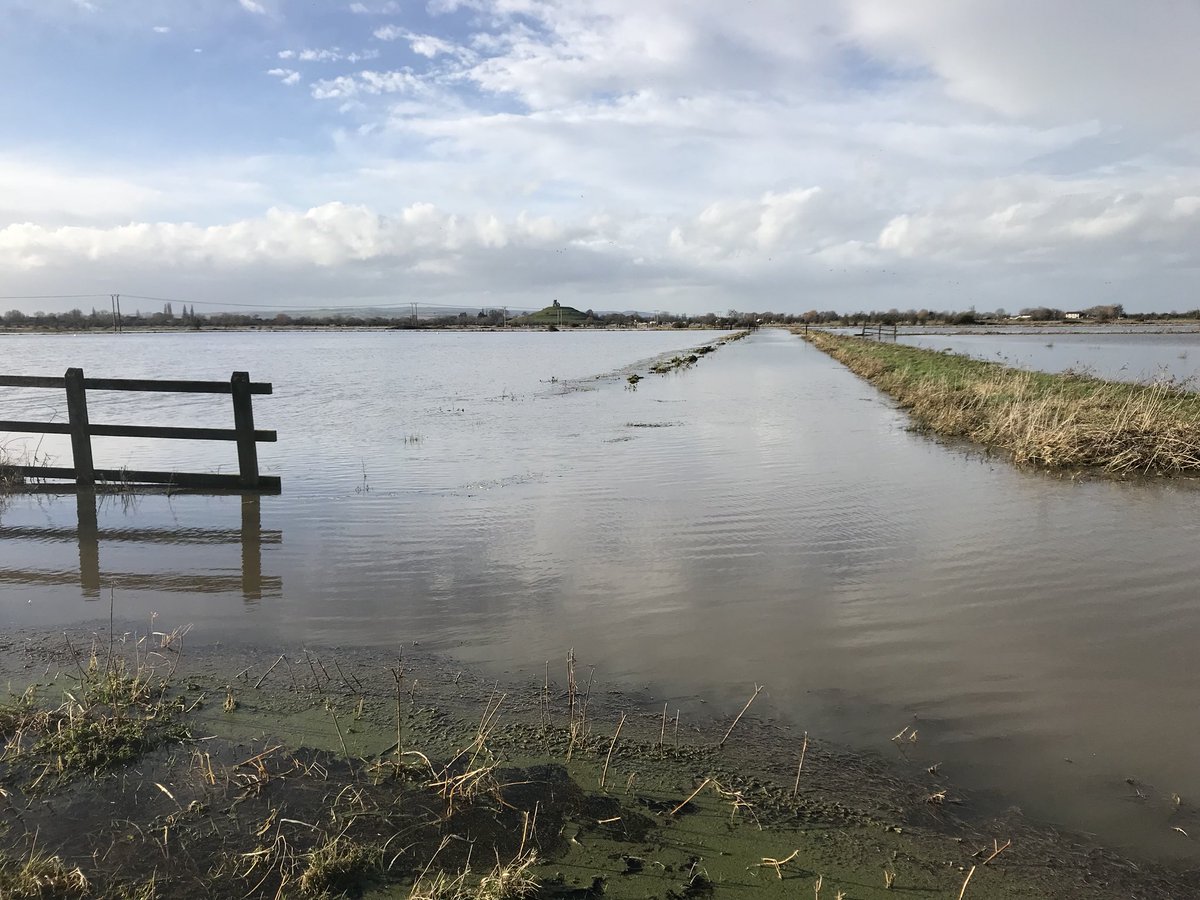 Phil Brewin tweet media