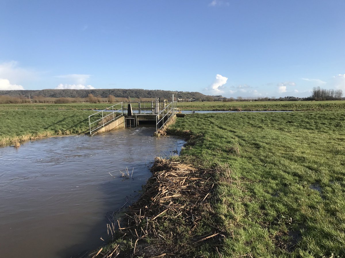 Phil Brewin tweet media