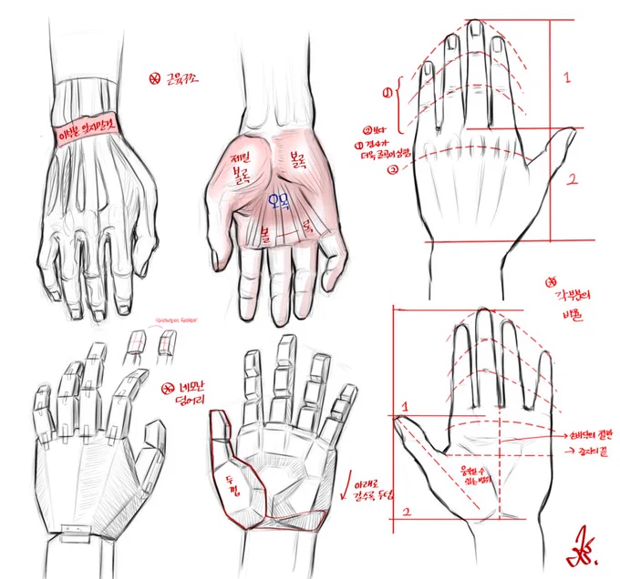 손의 구조?️ #structure #hand 