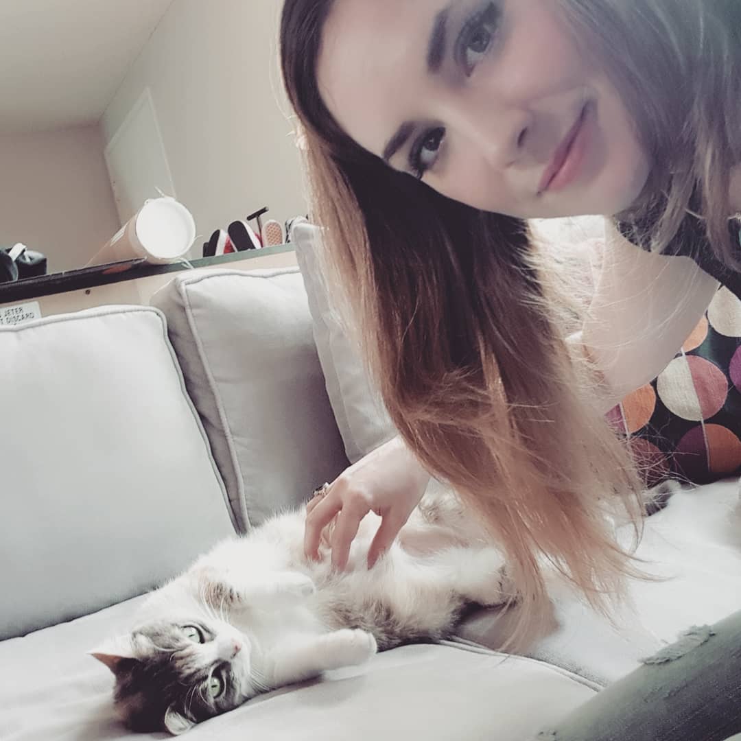 me successfully petting a cute cat.