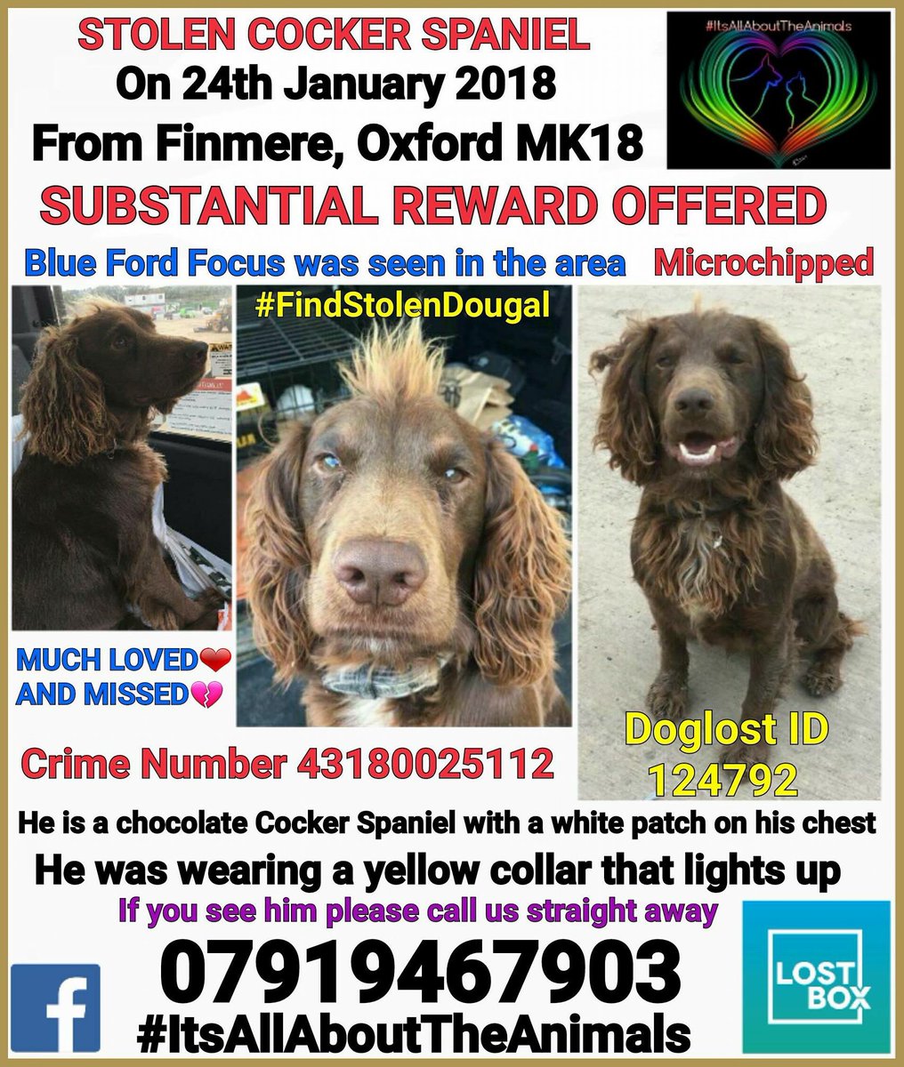 Please retweet and get this lovely boy Home x