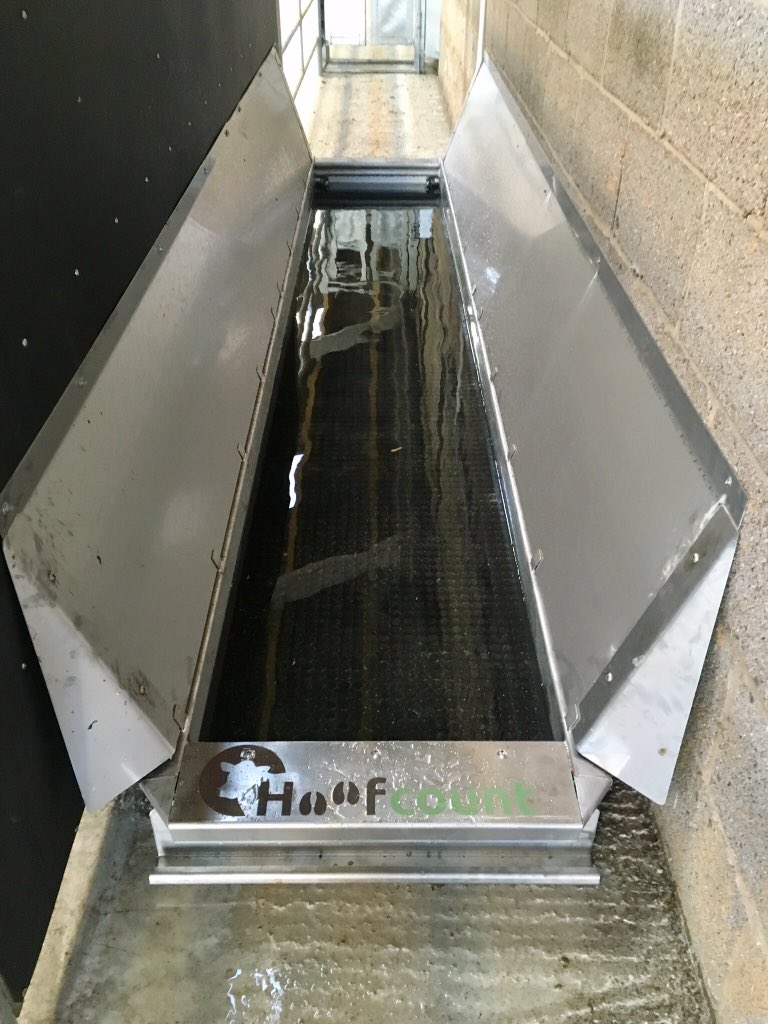 hoofcount2's tweet photo. Why not enjoy a short break and enjoy the new @Dairy_TechUK ? We are giving away a night for two people and two free entry tickets. Simple retweet this post for your chance to win.#TeamDairy #healthyfeet https://t.co/42IioPhaWt