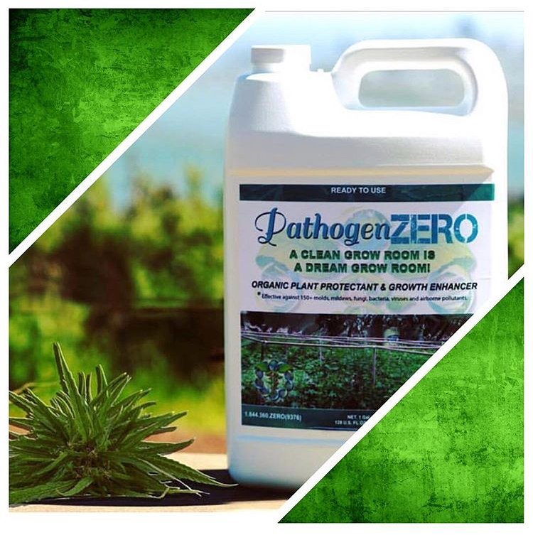 PathogenZero's tweet image. A CLEAN Grow Room is a DREAM Grow Room! Protect Your Garden PathogenZERO.com
