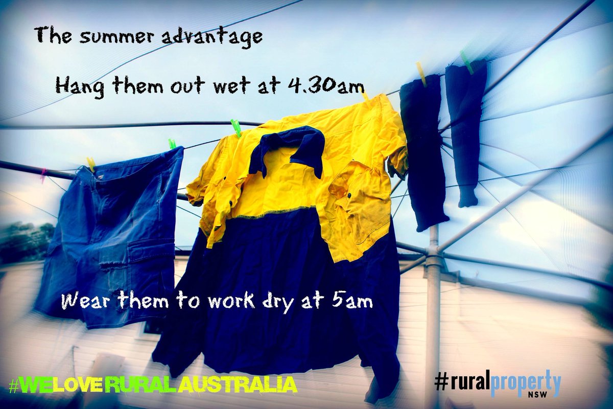 GuestML's tweet image. Sometimes things just have to happen last minute
#ruralpropertynsw #weloveruralaustralia