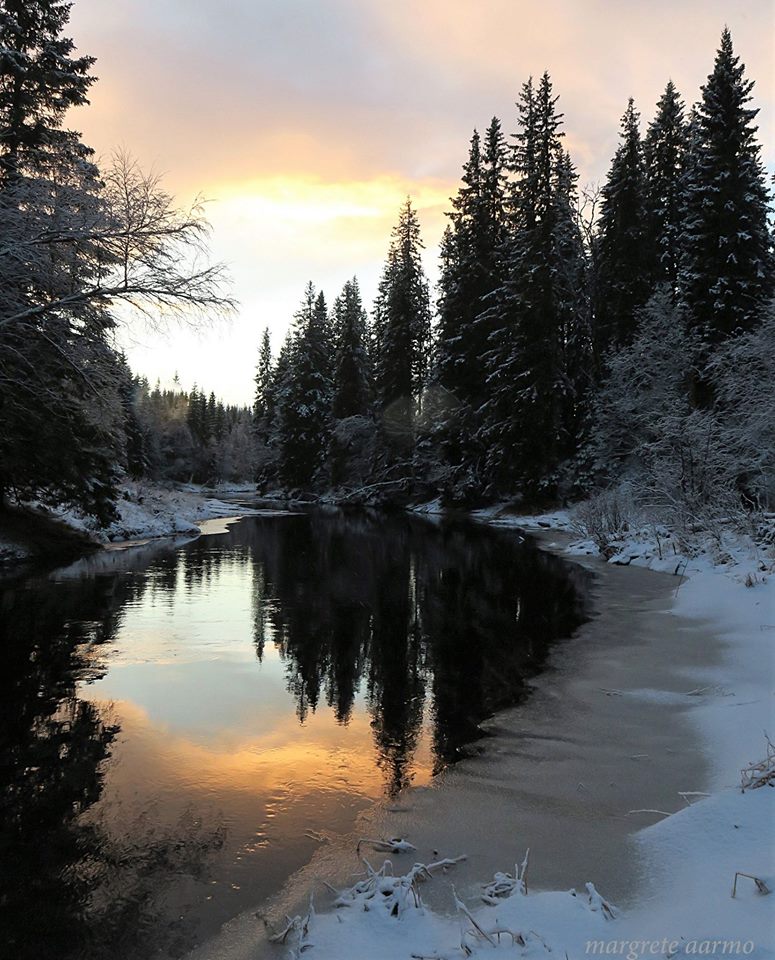 vucko_22's tweet photo. #fiching #ice#river#wild https://t.co/XMJrbi1MQo
