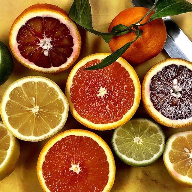 On rainy PNW days, winter citrus will always brighten your day. #citrus rules. <a href="/urbanfarmerpdx/">Urban Farmer</a>