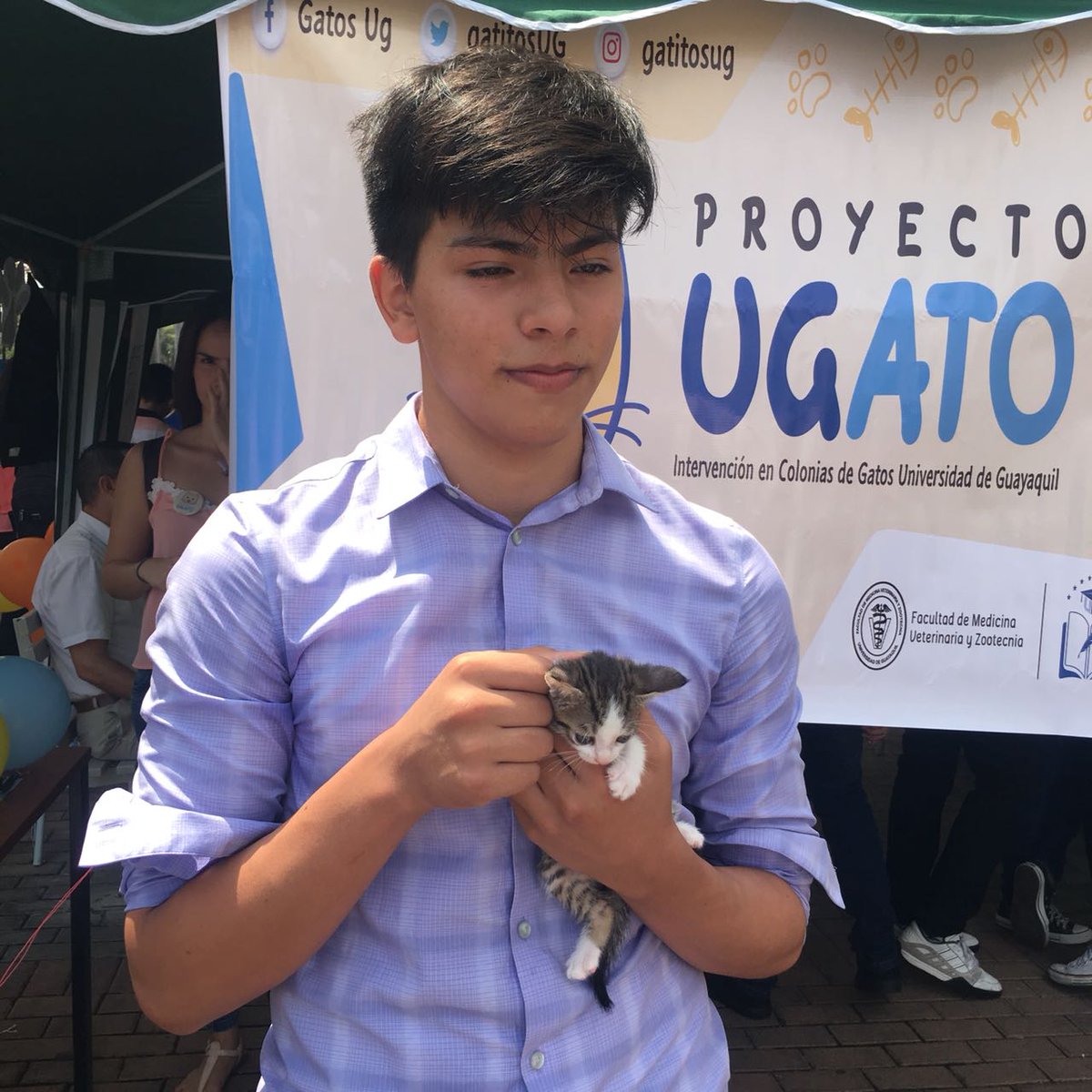 gatitosUG's tweet photo. Todos nuestros gatitos encontraron hoy un hogar, y ése era nuestro mayor objetivo. Informamos a la comunidad universitaria de nuestra ardua labor, y esperamos seguir contando con su apoyo en nuestra próxima feria. #UGatos https://t.co/qBEx6XOsmt